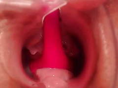 LibertyPorno presents: Pregnant pussy - the inside look